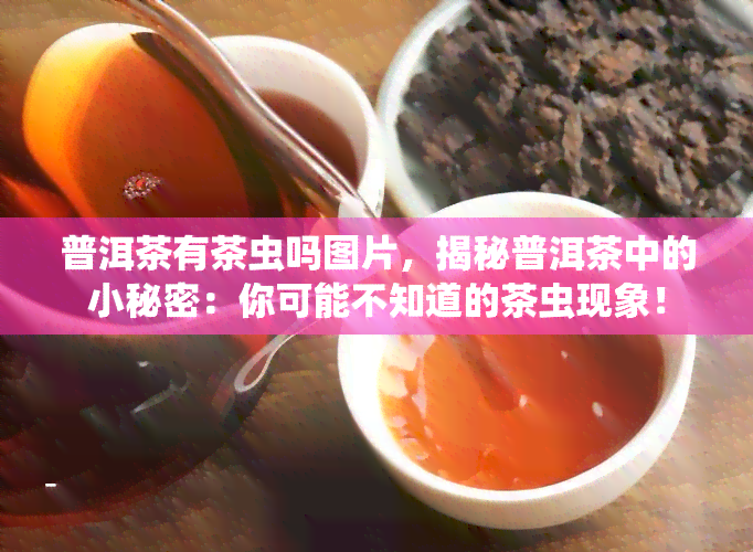 普洱茶有茶虫吗图片，揭秘普洱茶中的小秘密：你可能不知道的茶虫现象！