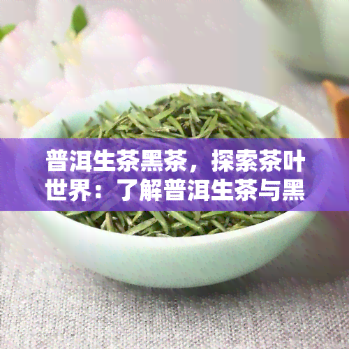 普洱生茶黑茶，探索茶叶世界：了解普洱生茶与黑茶的异同