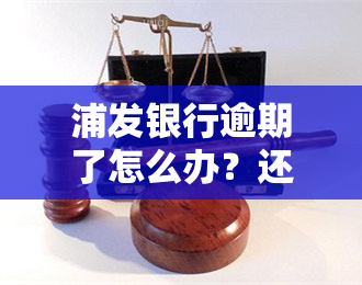 浦发银行逾期了怎么办？还不上能否申请分期？影响继续使用吗？逾期十几天要求全额还款如何协商？