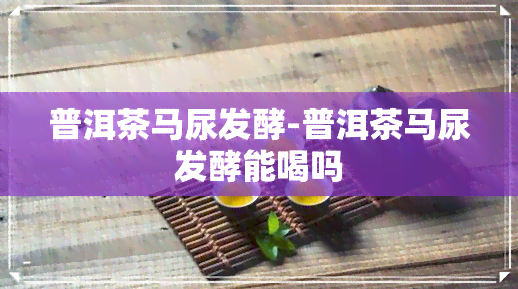 普洱茶马尿发酵-普洱茶马尿发酵能喝吗