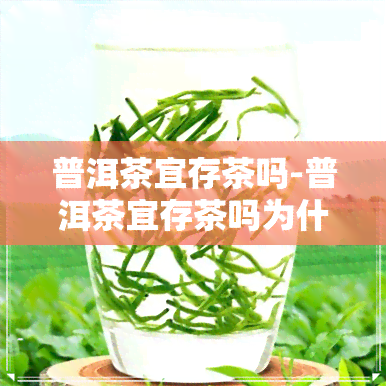 普洱茶宜存茶吗-普洱茶宜存茶吗为什么