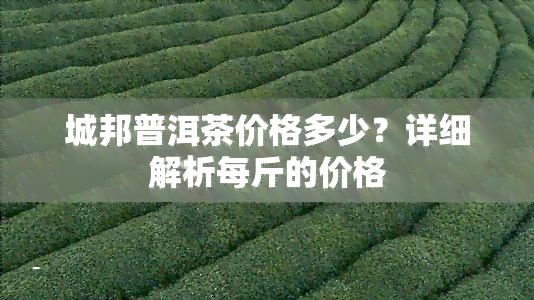 城邦普洱茶价格多少？详细解析每斤的价格