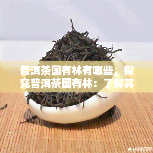 普洱茶国有林有哪些，探究普洱茶国有林：了解其独特之处与保护价值