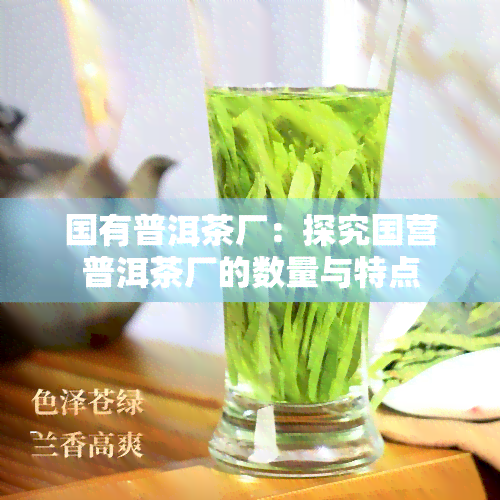 国有普洱茶厂：探究国营普洱茶厂的数量与特点