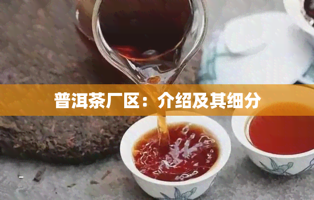 普洱茶厂区：介绍及其细分