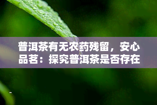 普洱茶有无农药残留，安心品茗：探究普洱茶是否存在农药残留问题