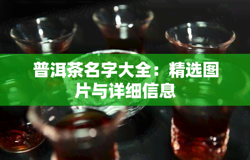 普洱茶名字大全：精选图片与详细信息