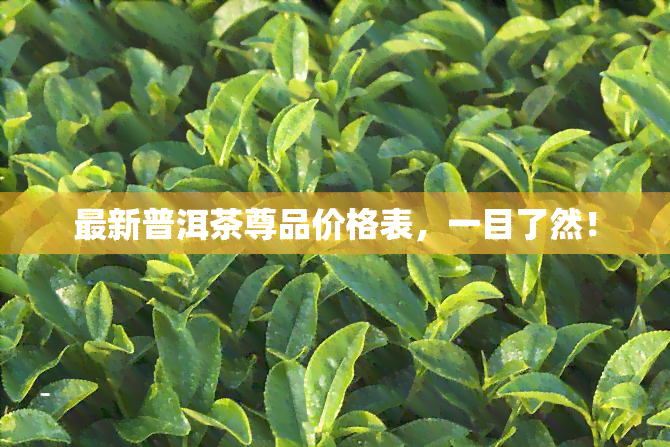 最新普洱茶尊品价格表，一目了然！