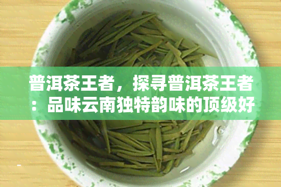 普洱茶王者，探寻普洱茶王者：品味云南独特韵味的顶级好茶