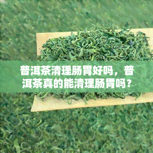 普洱茶清理肠胃好吗，普洱茶真的能清理肠胃吗？