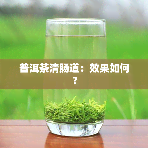 普洱茶清肠道：效果如何？