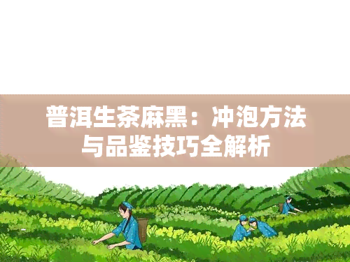 普洱生茶麻黑：冲泡方法与品鉴技巧全解析