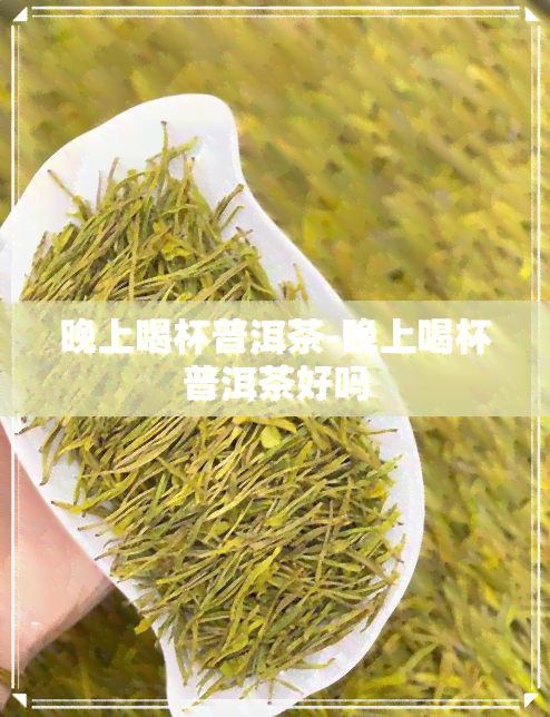 晚上喝杯普洱茶-晚上喝杯普洱茶好吗