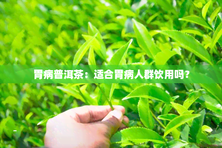 胃病普洱茶：适合胃病人群饮用吗？