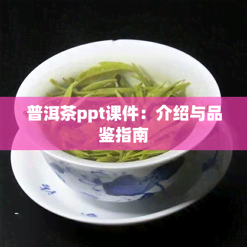 普洱茶ppt课件：介绍与品鉴指南