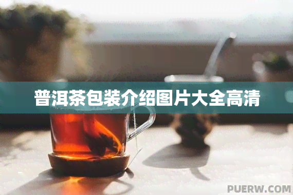 普洱茶包装介绍图片大全高清