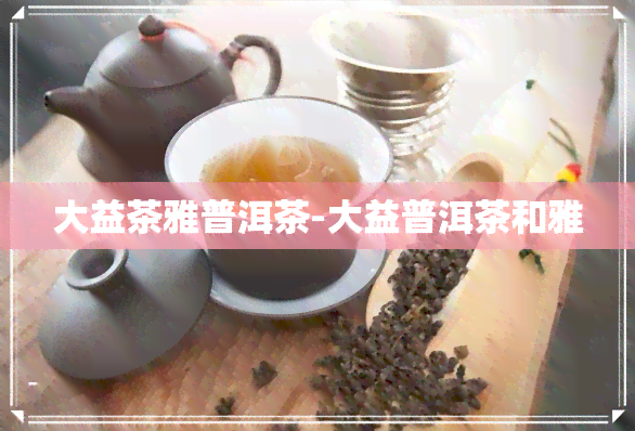 大益茶雅普洱茶-大益普洱茶和雅