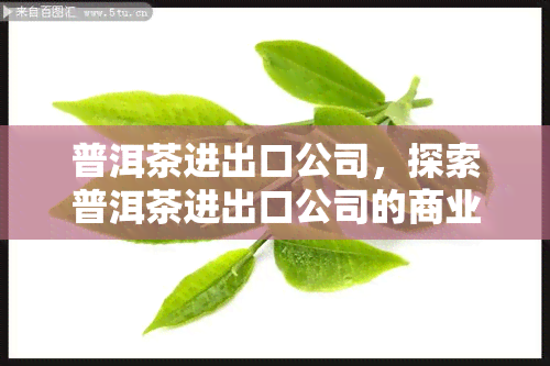 普洱茶进出口公司，探索普洱茶进出口公司的商业模式与市场趋势