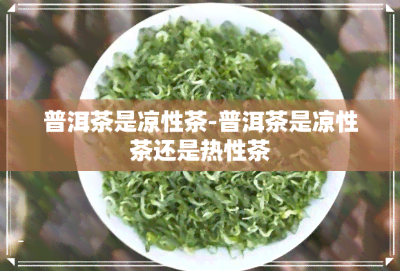 普洱茶是凉性茶-普洱茶是凉性茶还是热性茶