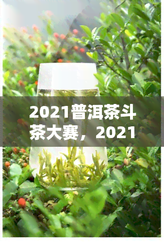 2021普洱茶斗茶大赛，2021普洱茶斗茶大赛：品味千年茶文化的宴