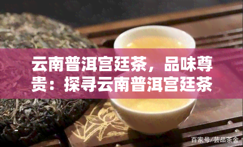 云南普洱宫廷茶，品味尊贵：探寻云南普洱宫廷茶的神秘魅力