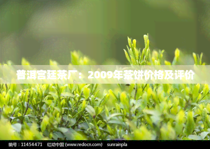 普洱宫廷茶厂：2009年茶饼价格及评价