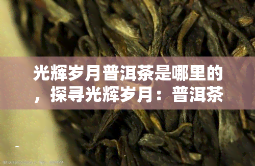 光辉岁月普洱茶是哪里的，探寻光辉岁月：普洱茶的产地与故事