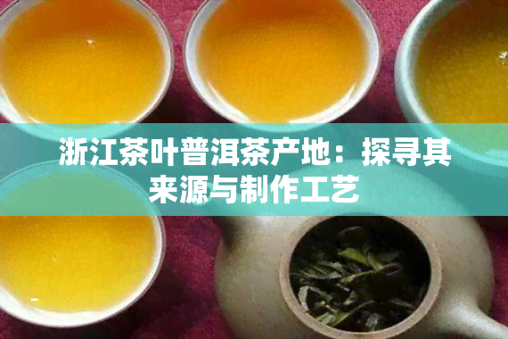 浙江茶叶普洱茶产地：探寻其来源与制作工艺