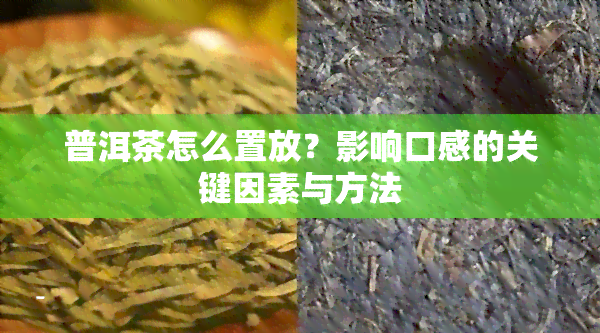 普洱茶怎么置放？影响口感的关键因素与方法