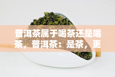 普洱茶属于喝茶还是喝茶，普洱茶：是茶，更是品茗的艺术