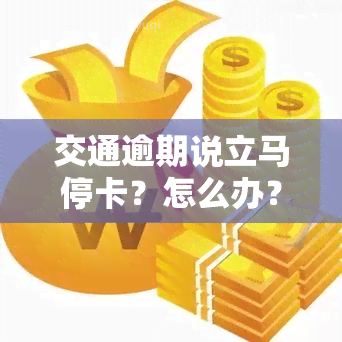 交通逾期说立马停卡？怎么办？