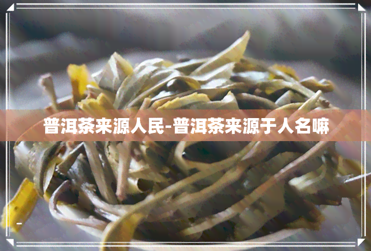 普洱茶来源人民-普洱茶来源于人名嘛