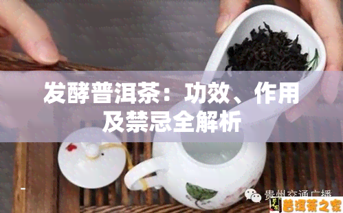 发酵普洱茶：功效、作用及禁忌全解析