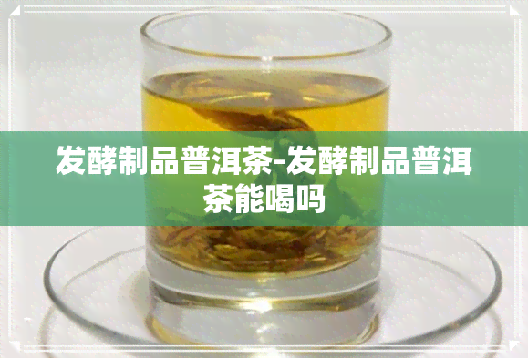 发酵制品普洱茶-发酵制品普洱茶能喝吗