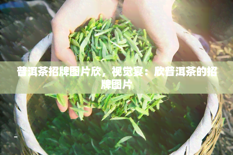 普洱茶招牌图片欣，视觉宴：欣普洱茶的招牌图片