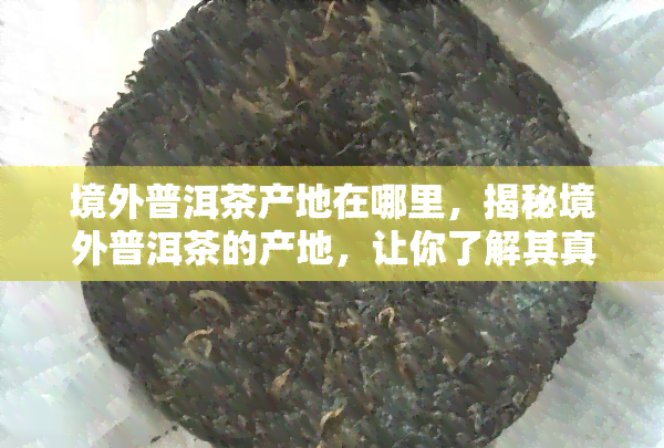 境外普洱茶产地在哪里，揭秘境外普洱茶的产地，让你了解其真正的来源地