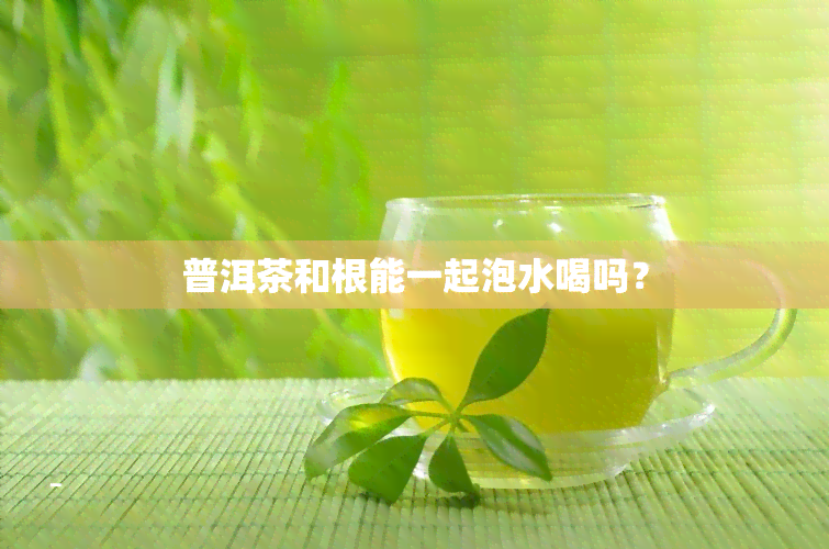 普洱茶和根能一起泡水喝吗？