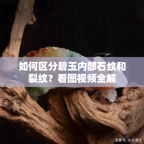 如何区分碧玉内部石纹和裂纹？看图视频全解