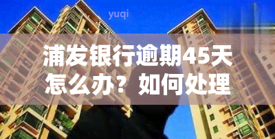 浦发银行逾期45天怎么办？如何处理欠款问题？