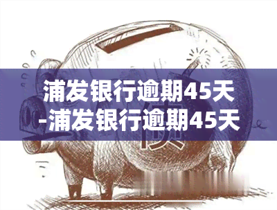 浦发银行逾期45天-浦发银行逾期45天会怎样