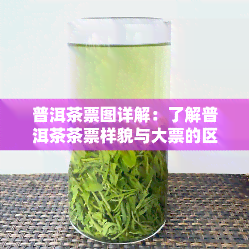 普洱茶票图详解：了解普洱茶茶票样貌与大票的区别