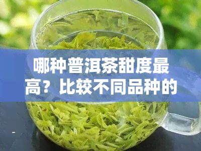 哪种普洱茶甜度更高？比较不同品种的甜味