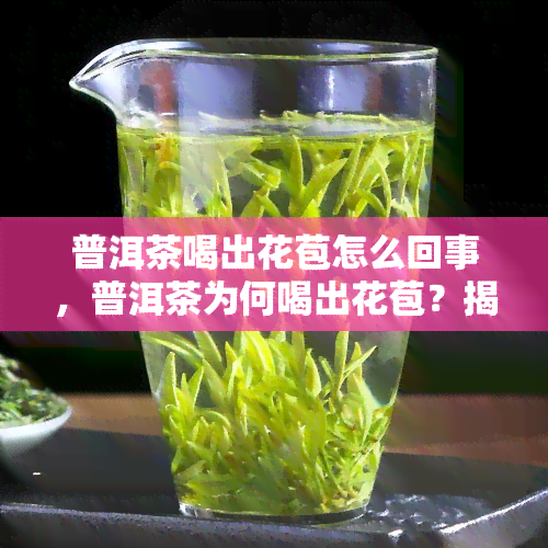 普洱茶喝出花苞怎么回事，普洱茶为何喝出花苞？揭开这一神奇现象的背后原因