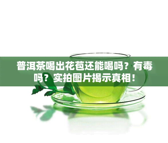 普洱茶喝出花苞还能喝吗？有吗？实拍图片揭示真相！