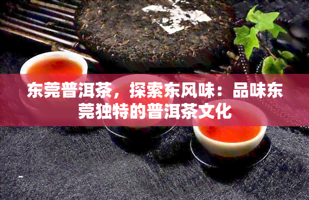 东莞普洱茶，探索东风味：品味东莞独特的普洱茶文化