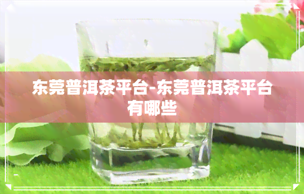 东莞普洱茶平台-东莞普洱茶平台有哪些