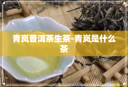 青岚普洱茶生茶-青岚是什么茶