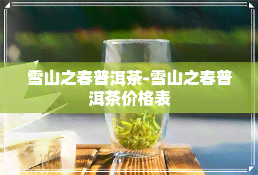 雪山之春普洱茶-雪山之春普洱茶价格表