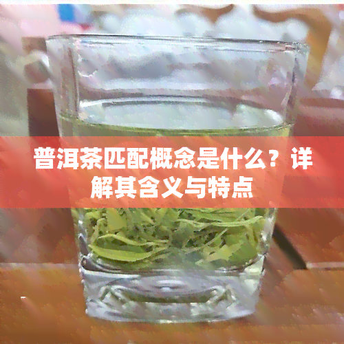 普洱茶匹配概念是什么？详解其含义与特点