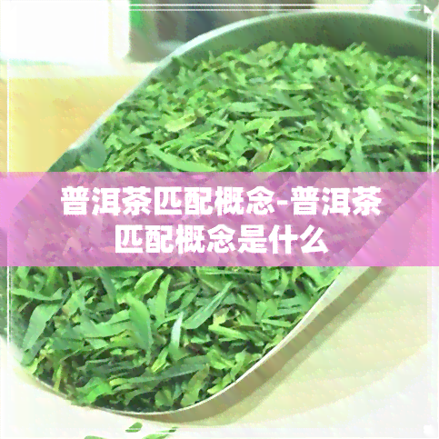 普洱茶匹配概念-普洱茶匹配概念是什么